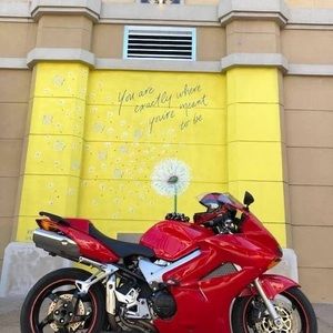 Meet your Posher, Kevin